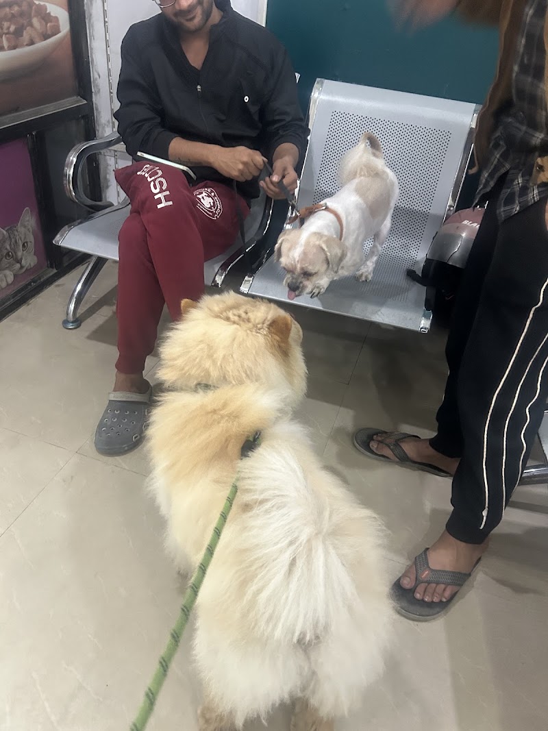 Pets Terminal Clinic