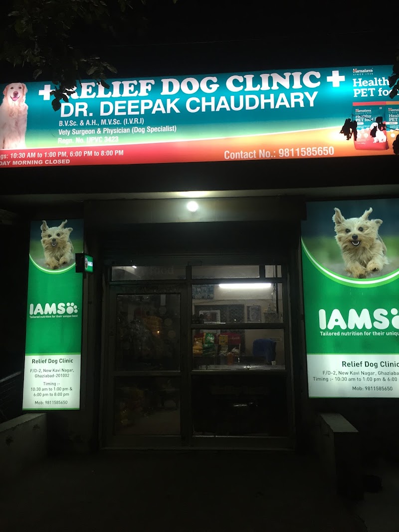 Relief Dog Clinic