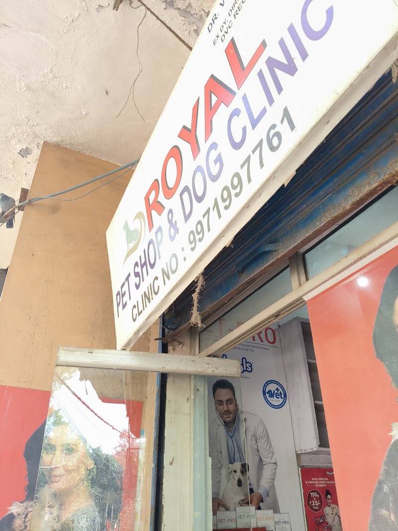 Royal Pet Shop & Dog Clinic