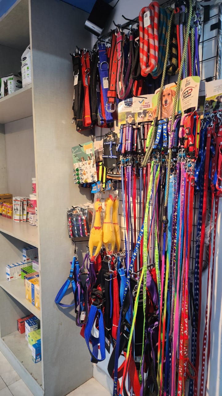Royal Veterinary Clinic