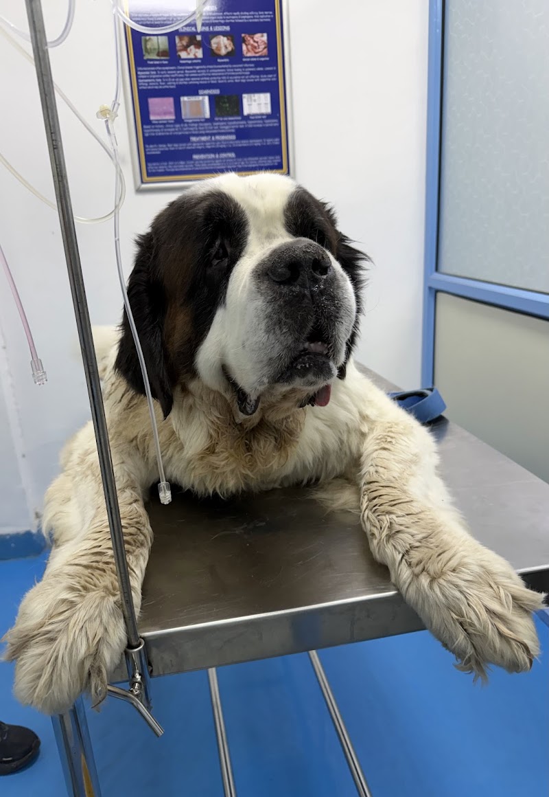 Taurus Pet Clinic