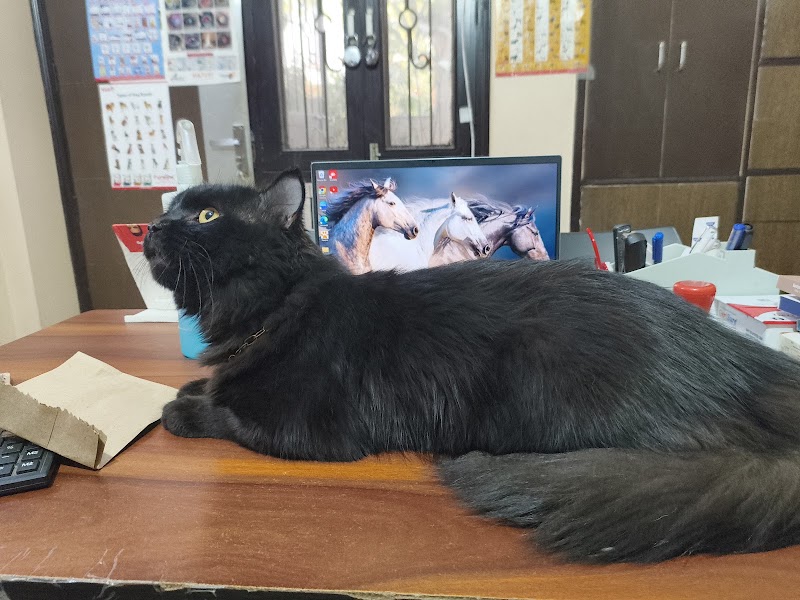 Vedic Pets Clinic and Surgery Center