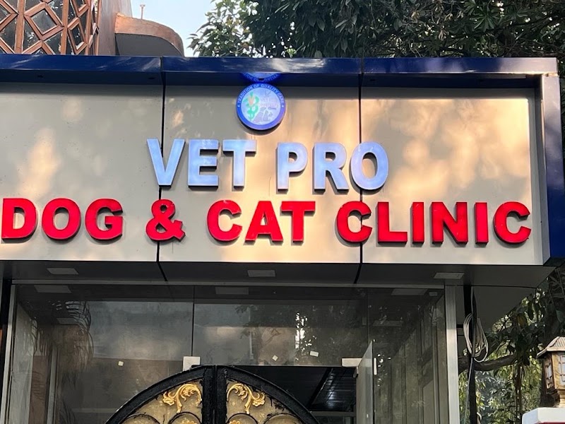 Vet Pro Dog and Cat Clinic (Alpha-1, Greater Noida)
