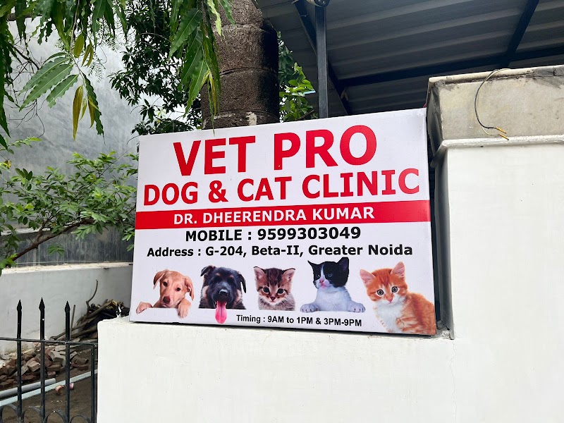 Vet Pro Dog and Cat Clinic (Beta II, Greater Noida)