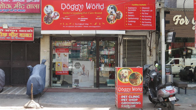 Vetic Pet Clinic / Doggy World (Derawal Nagar)