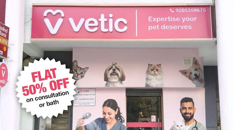 Vetic Pet Clinic (Sector 15)