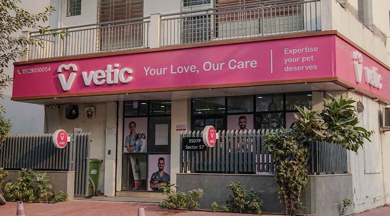 Vetic Pet Clinic (Sector 57)
