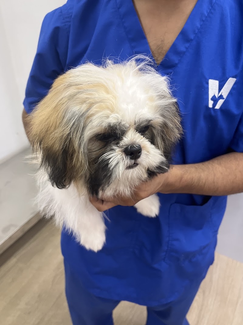 Vetic Pet Clinic (Vasant Kunj)