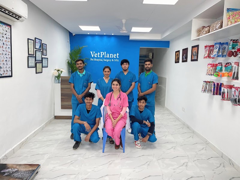 VetPlanet – Hospital, Surgery and Spa