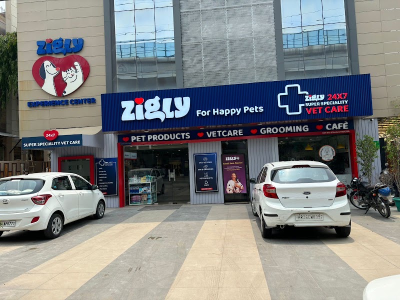 Zigly 24×7 Pet Hospital – Kailash Colony