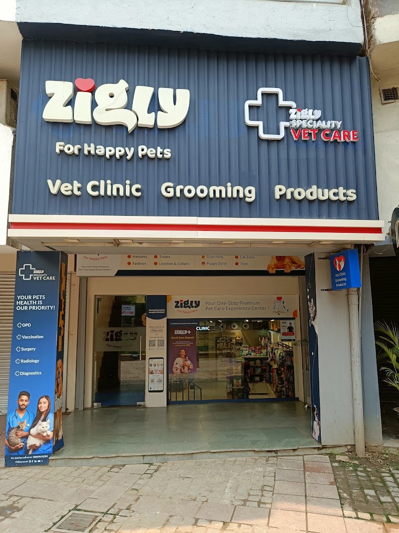 Zigly Pet Care – Basant Lok (Vasant Vihar)
