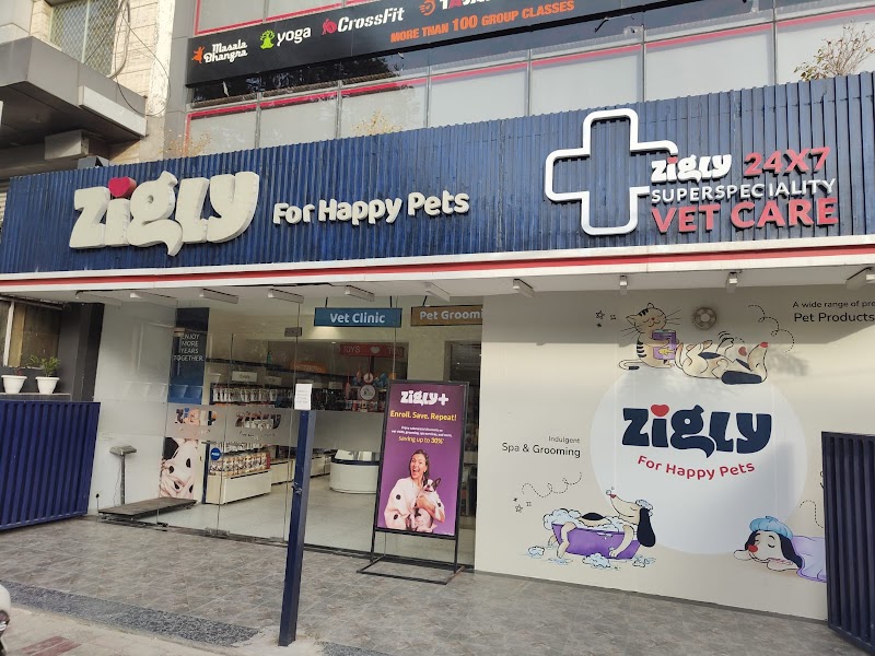 Zigly Pet Care – Janakpuri
