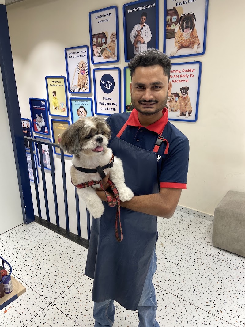 Zigly Pet Care – Pitampura
